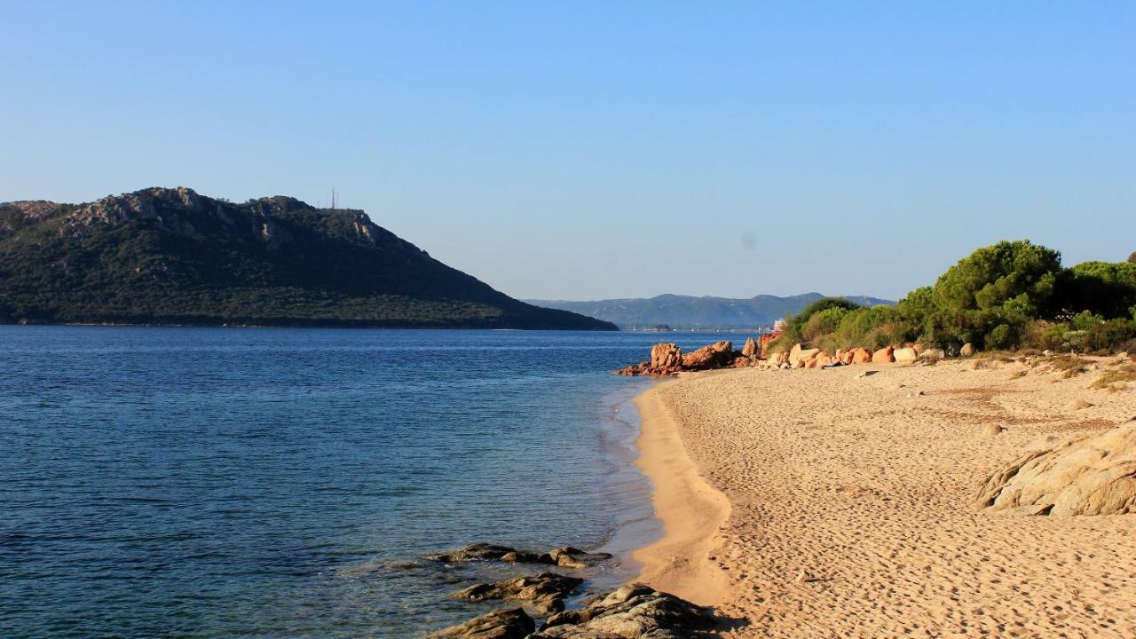 Villas Cala Corsa - 3 Et 4 Chambres - Cala Rossa Porto-Vecchio - Villas Entierement Climatisees Avec Piscine Chauffee Partagee Et Piscines Privees - Internet Gratuit Kültér fotó